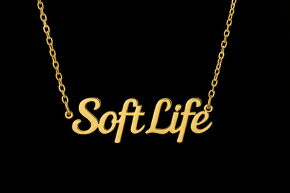 "Pretty & Petty" Gold Nameplate Necklace – Trendy Girl Boss Jewelry | TikTok Viral Necklace