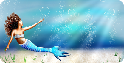 Personalized License Plates and License Plate Frames